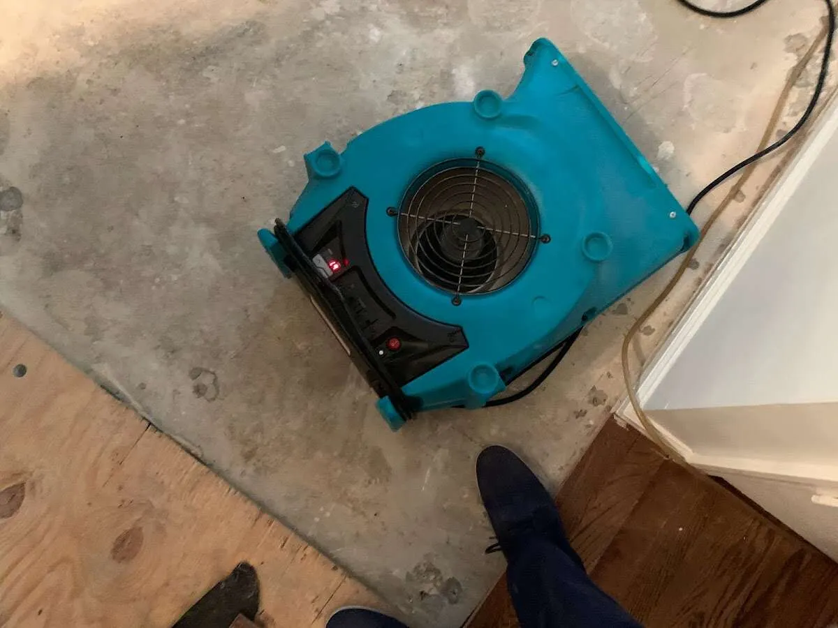 Air mover drying subfloor during Leak Detection & Repair in Forestbrook